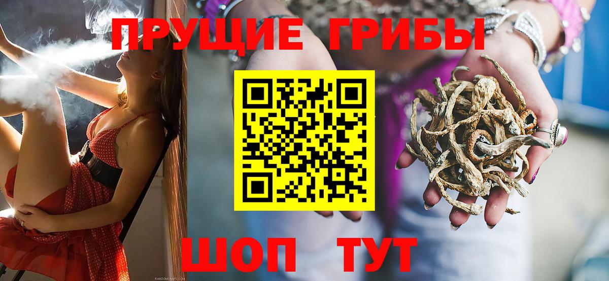 Псилоцибиновые грибы мухоморы  Вход с VPN  Сафоново  Псилоцибиновые грибы прущие грибы 